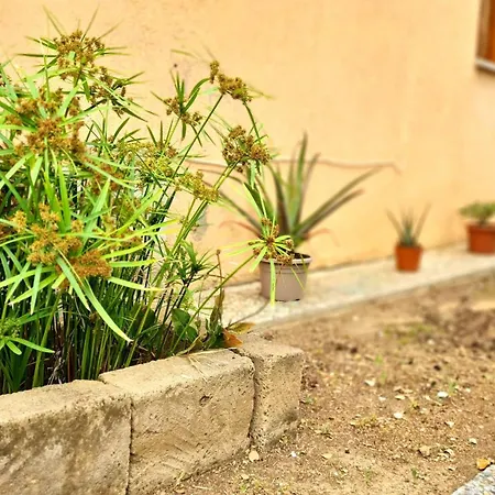 Salvatore Appartamento Porto Azzurro