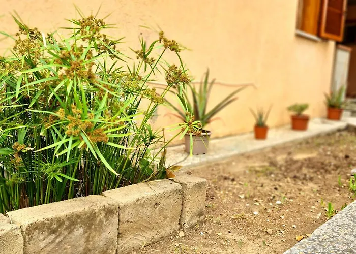 Salvatore Apartamento Porto Azzurro